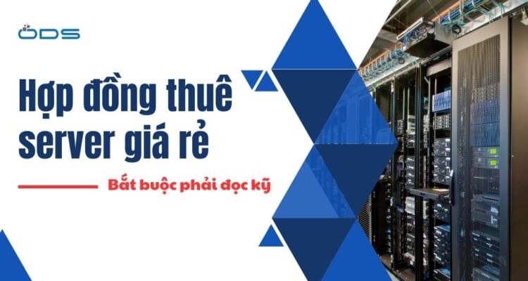 Hợp đồng thuê server giá rẻ và những điều bắt buộc phải đọc kỹ