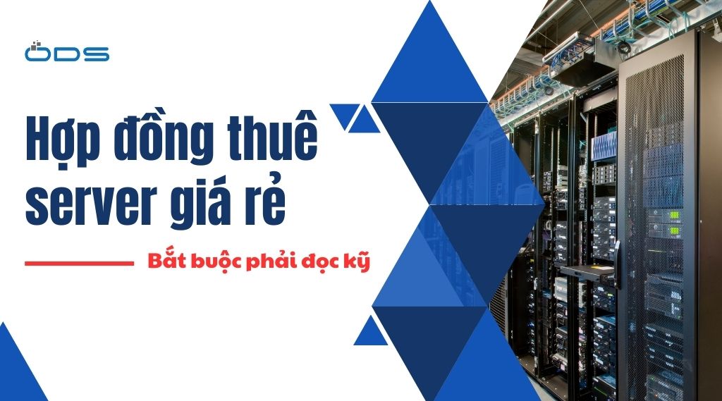 Hợp đồng thuê server giá rẻ: những điều bắt buộc phải đọc kỹ