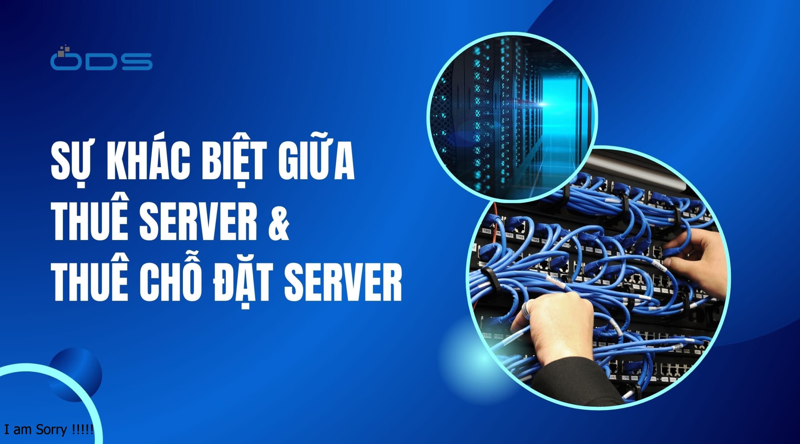 Sự khác biệt giữa thuê chỗ đặt server và thuê server: Doanh nghiệp nên chọn giải pháp nào?